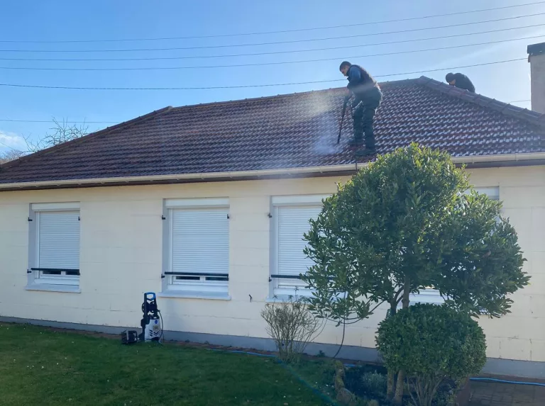 Nettoyage de toiture 94